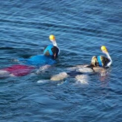 Gadgy Duikmasker Full Face Kinderen - Duikbril Met Snorkel - Snorkelset Kinderen - Snorkelmasker - Roze -Winkel voor professionele sportartikelen 1200x1200 125