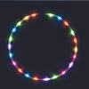 Regenboog Hoelahoop Met 24 Geïntegreerde LEDs 90CM Goud 2 Regenboog Hoelahoop Met 24 Geïntegreerde LEDs 90CM Goud -Winkel voor professionele sportartikelen 1200x1200 627