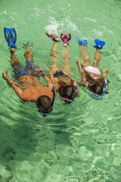 ReefTourer Snorkelmasker Duikbril Snorkelset RC-0105-zwart/blauw -Winkel voor professionele sportartikelen 800x1200 2