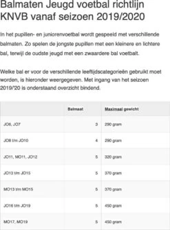 Derbystar Voetbal Brilliant Light DB Maat 5 -Winkel voor professionele sportartikelen 885x1200 3