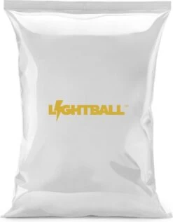 Slazenger Ballenpomp - Professionele Voetbalpomp - Basketbalpomp - Ballenpomp- Pomp - Inclusief Naald - Balpomp - Voetbal - Basket - Volleyball - Bal - Ballen - Handpomp -Winkel voor professionele sportartikelen 934x1200